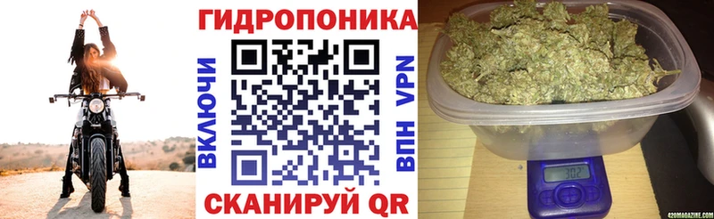 Сколько стоит Можайск ГАШИШ  Канабис  Alpha-PVP  МЕФ  COCAIN 