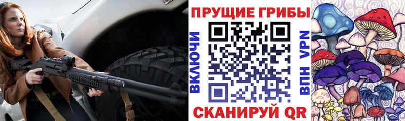 Псилоцибиновые грибы Psilocybe  Можайск 
