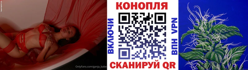 купить закладку  Можайск  Канабис конопля 