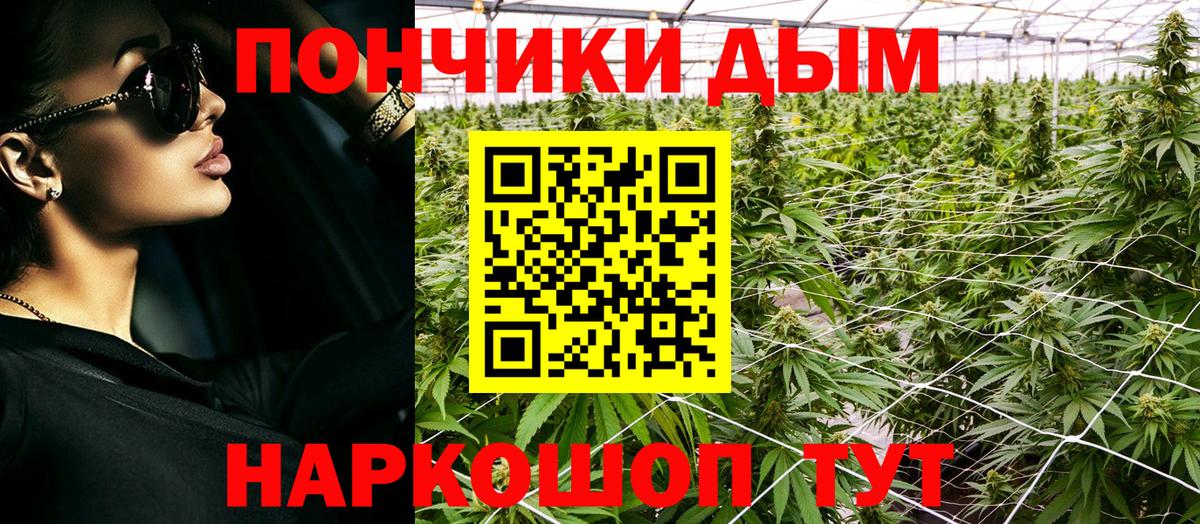 Канабис план Можайск